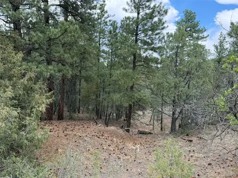 165 Mosswood Drive Cotopaxi CO 81223
