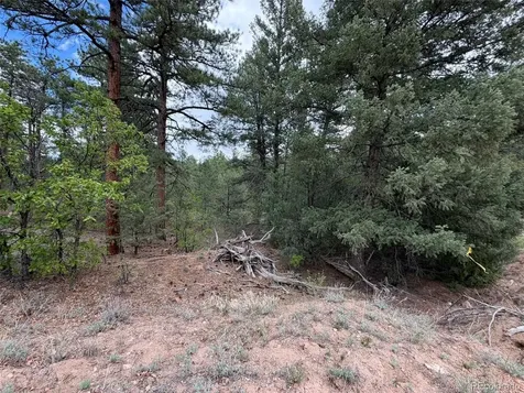 165 Mosswood Drive Cotopaxi CO 81223