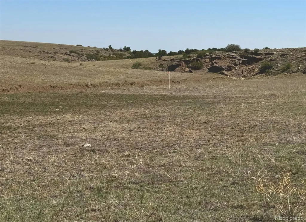 Tbd Lot 13a Pickney Road Rye CO 81069