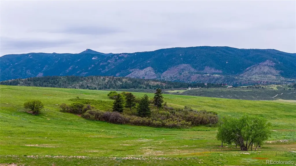 3282 Tomah Road Larkspur CO 80118