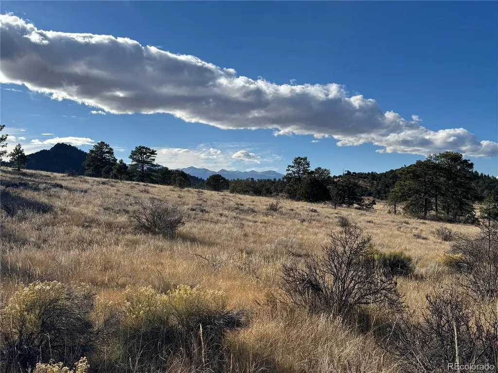 Lot 35 Stephens Drive Westcliffe CO 81252