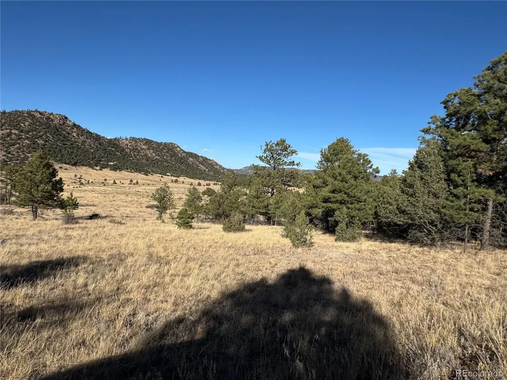 Lot 35 Stephens Drive Westcliffe CO 81252