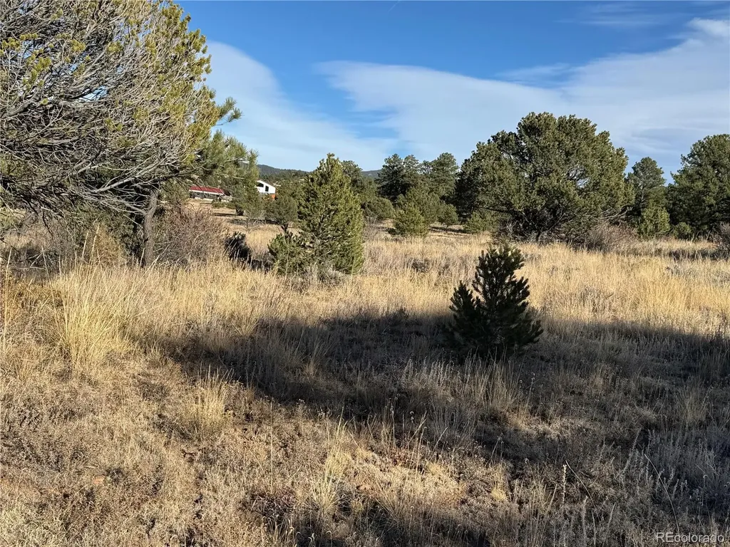 Lot 35 Stephens Drive Westcliffe CO 81252
