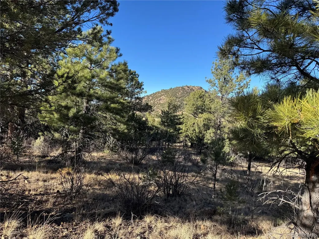 Lot 35 Stephens Drive Westcliffe CO 81252
