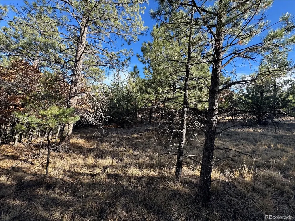 Lot 35 Stephens Drive Westcliffe CO 81252