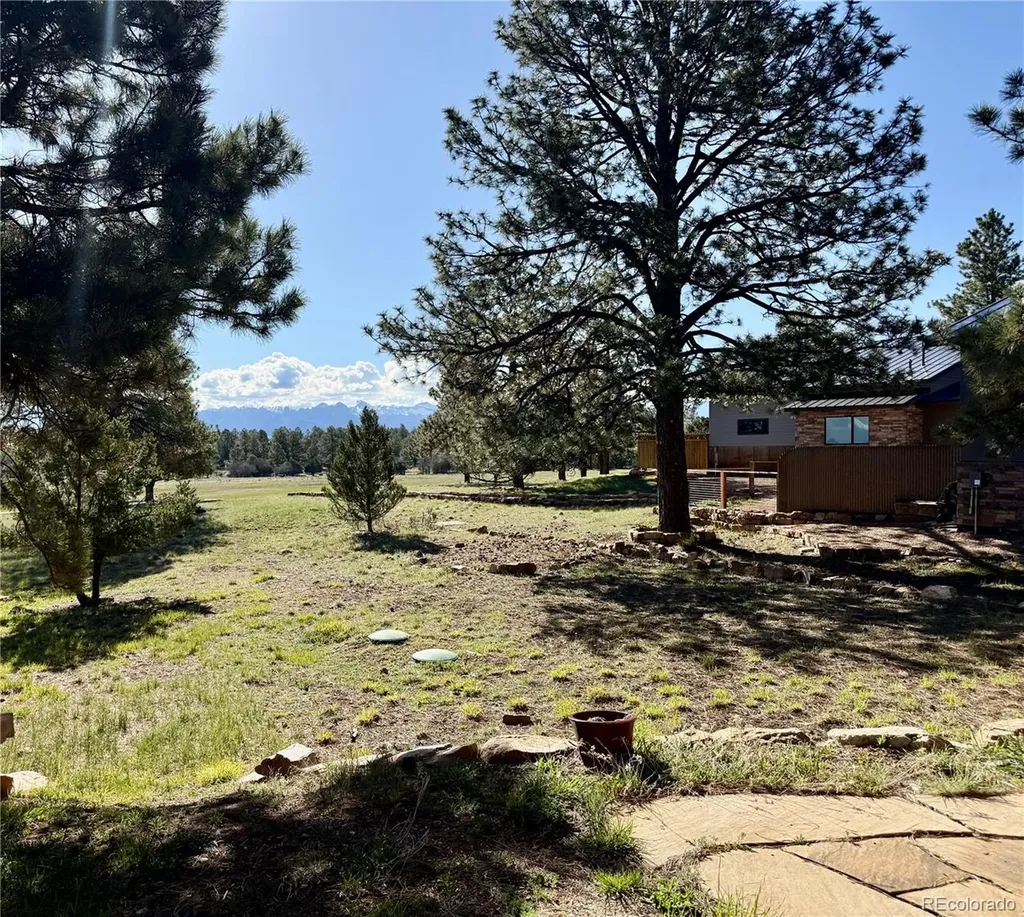 592 Badger Trail Ridgway CO 81432