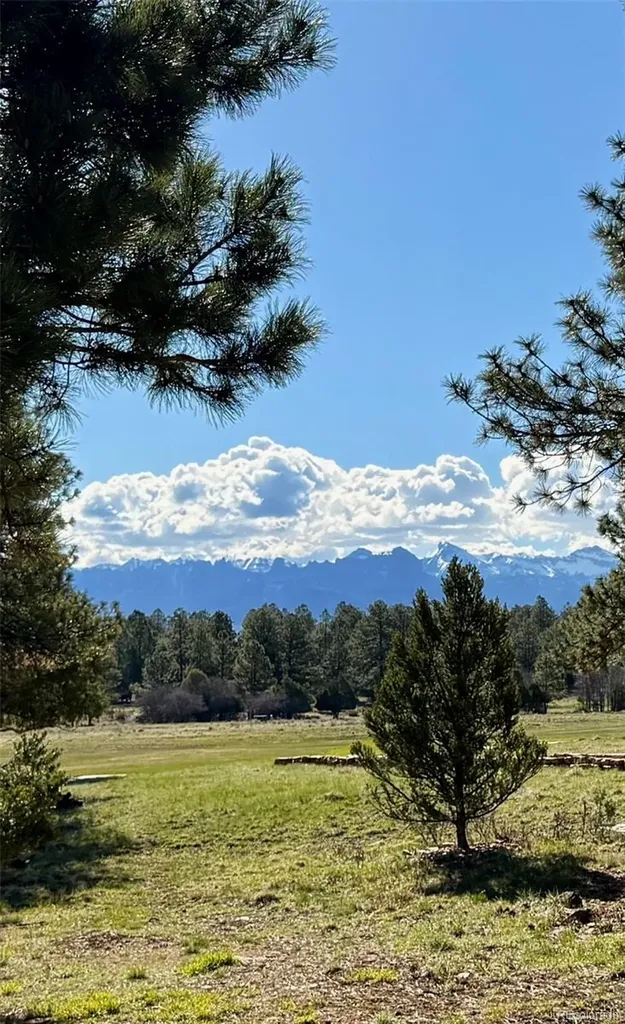 592 Badger Trail Ridgway CO 81432