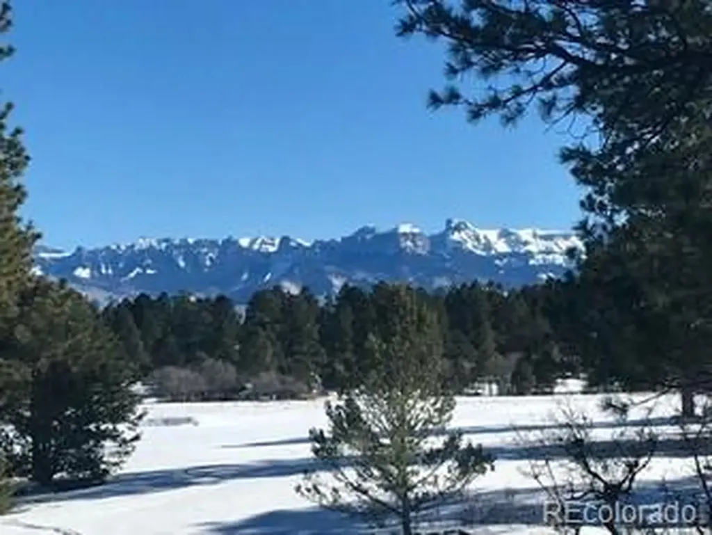 592 Badger Trail Ridgway CO 81432