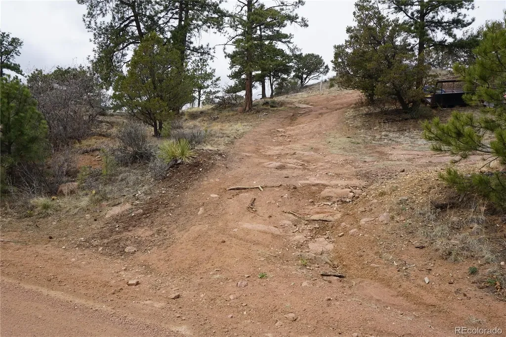 1893 Arapahoe Drive Cripple Creek CO 80813