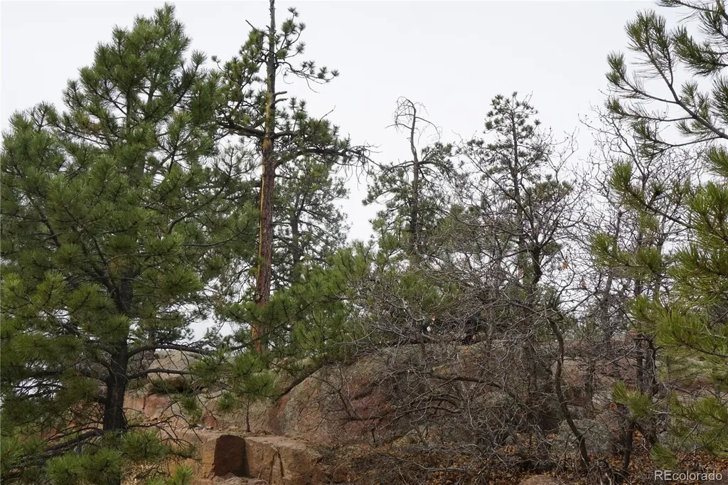 1893 Arapahoe Drive Cripple Creek CO 80813