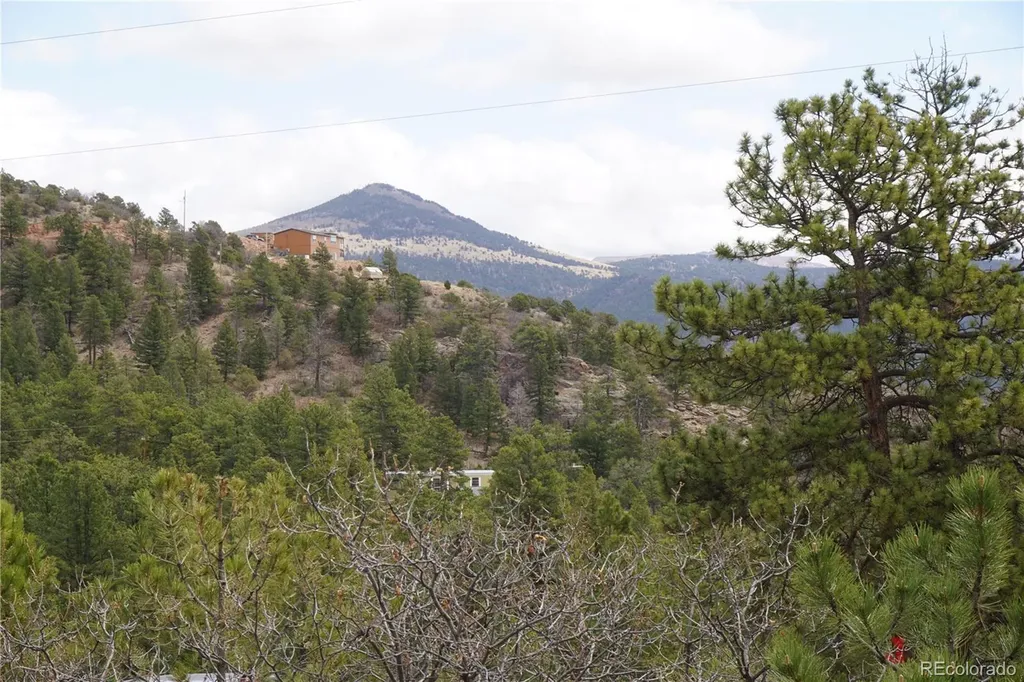 1893 Arapahoe Drive Cripple Creek CO 80813