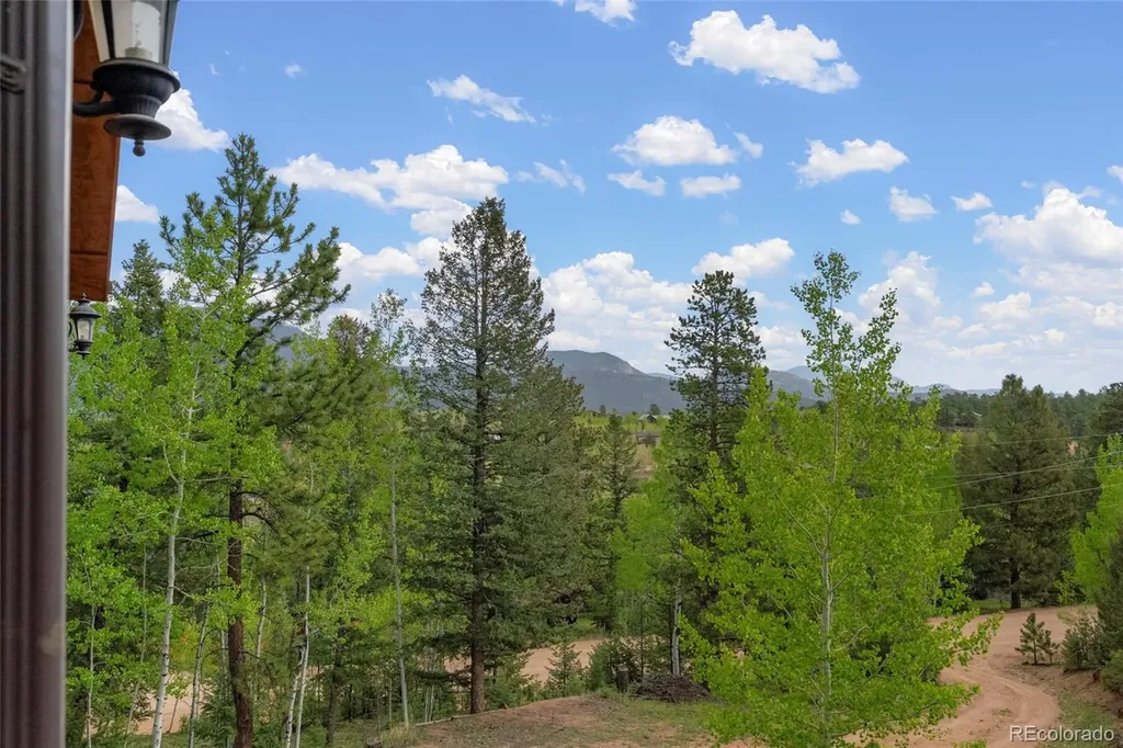 302 Miners Way Bailey CO 80421