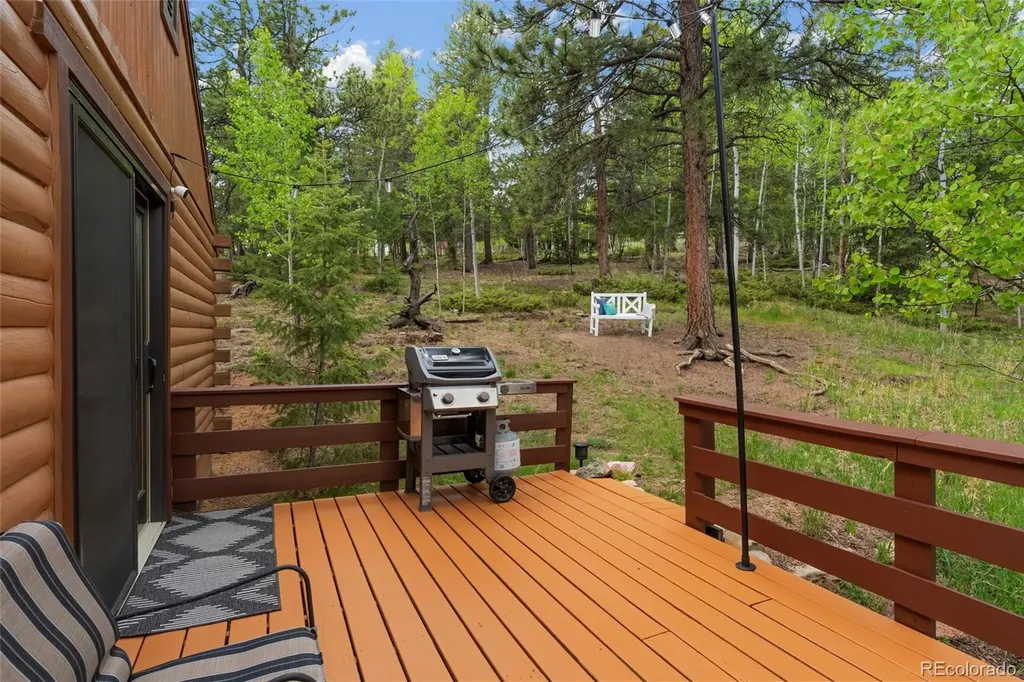 302 Miners Way Bailey CO 80421