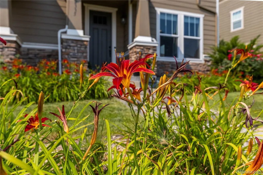 2335 W 164th Place Broomfield CO 80023