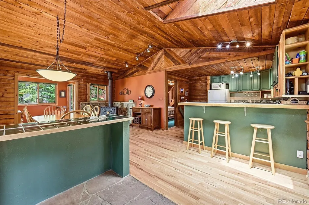 353 Brook Drive Idaho Springs CO 80452