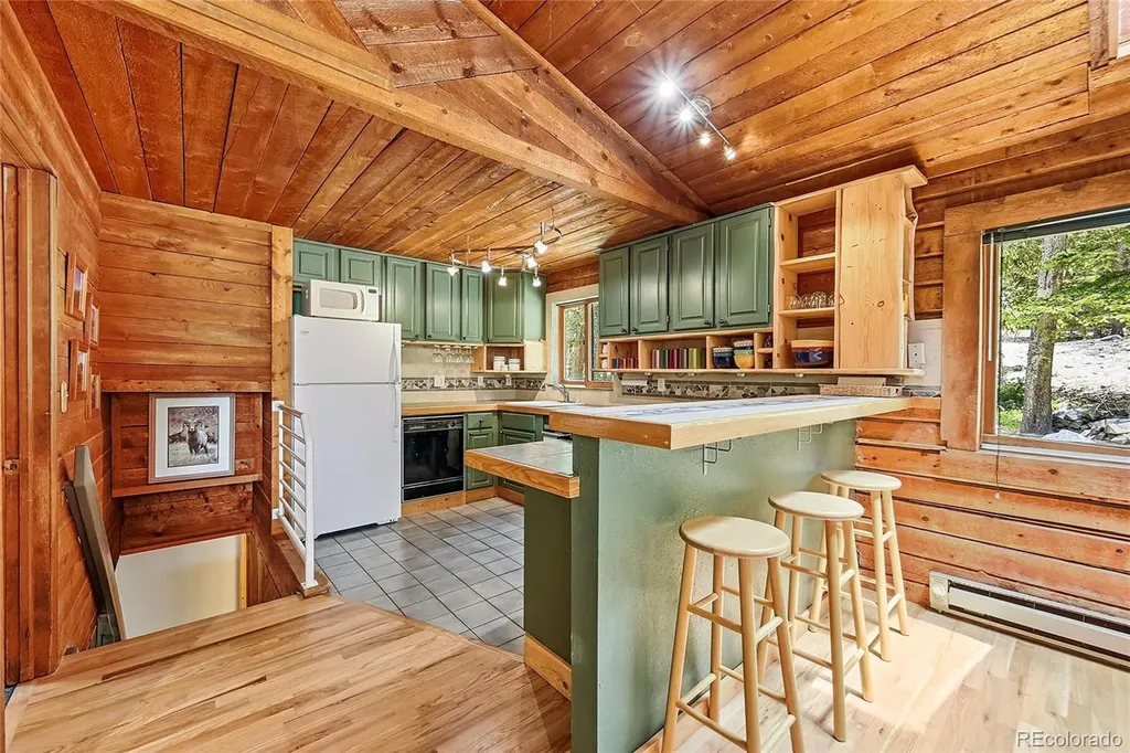 353 Brook Drive Idaho Springs CO 80452