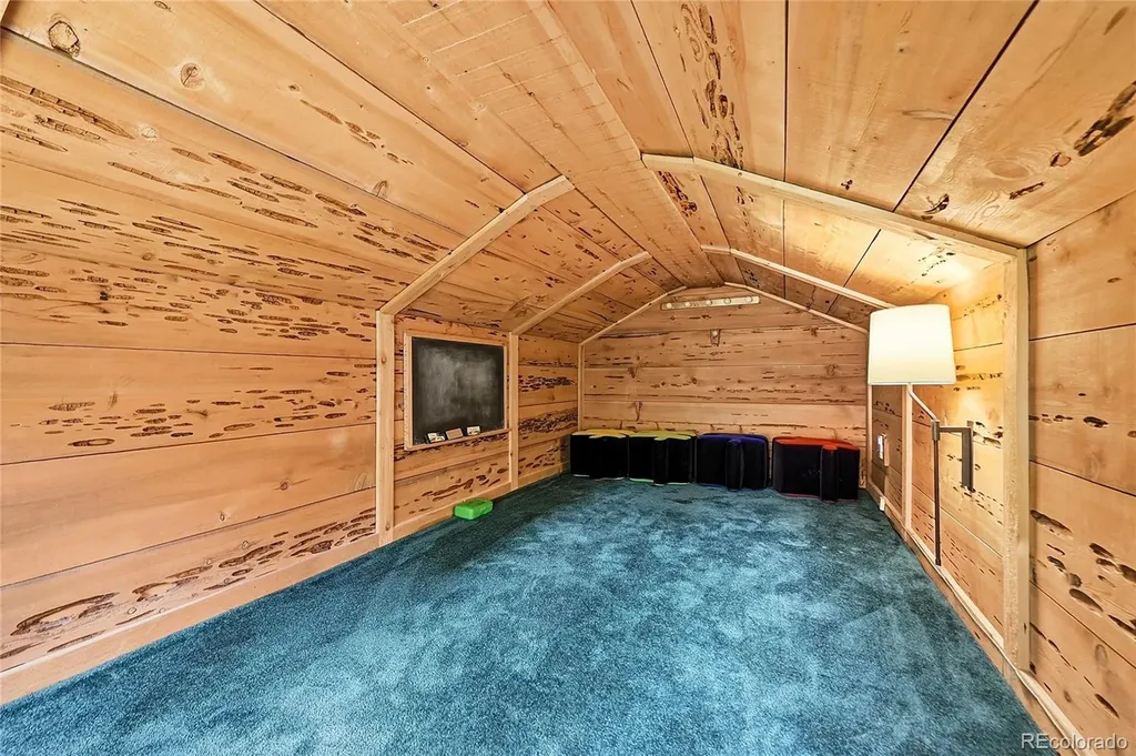 353 Brook Drive Idaho Springs CO 80452