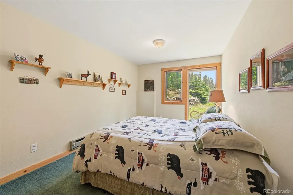 353 Brook Drive Idaho Springs CO 80452