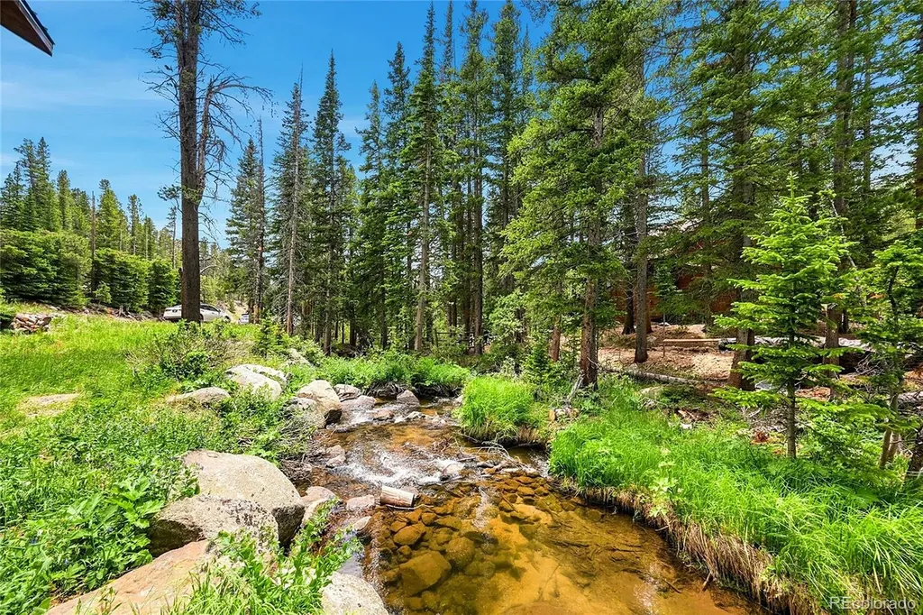 353 Brook Drive Idaho Springs CO 80452