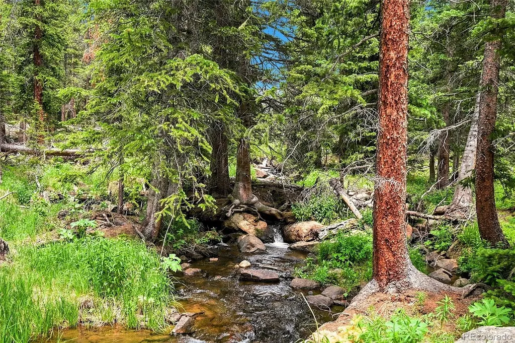 353 Brook Drive Idaho Springs CO 80452