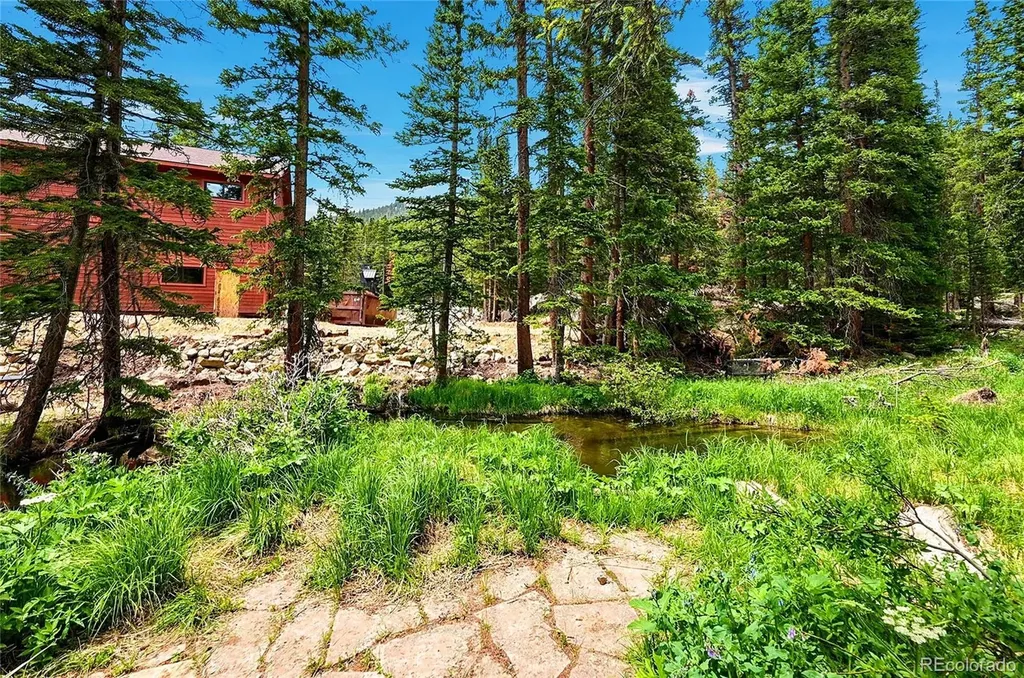 353 Brook Drive Idaho Springs CO 80452