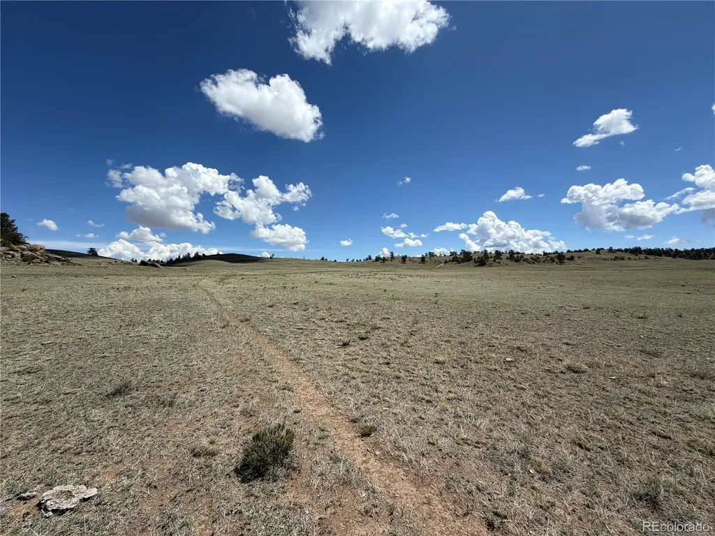 1338 Chimapavi Trail Hartsel CO 80449