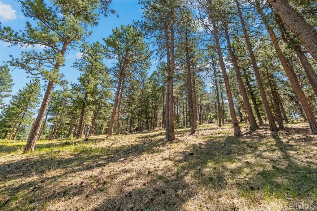 7390 Monica Lane Evergreen CO 80439