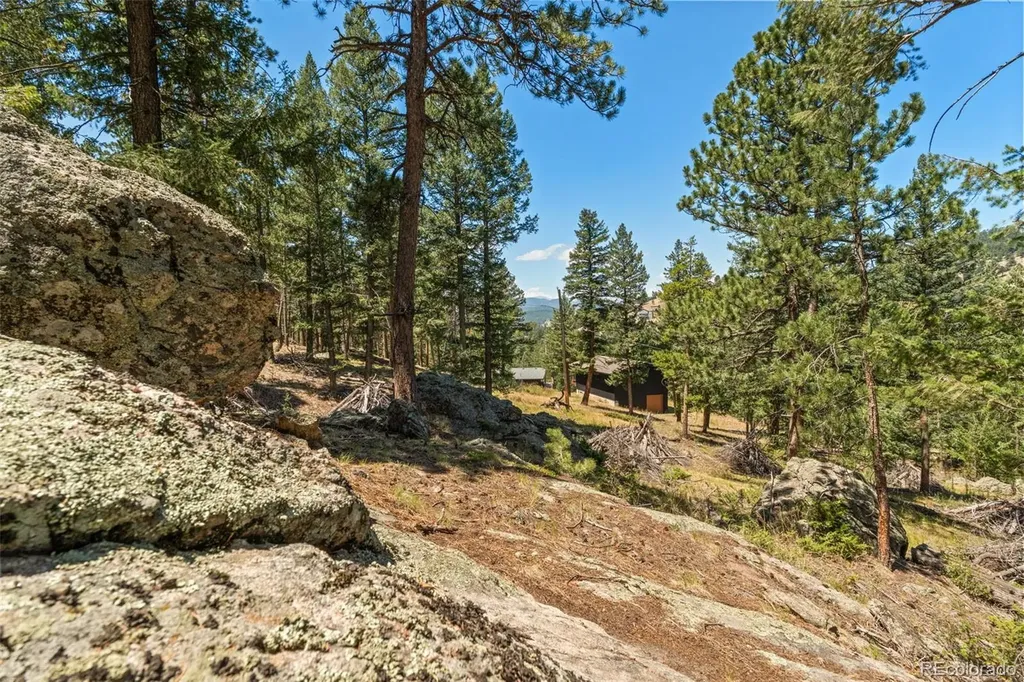 7390 Monica Lane Evergreen CO 80439