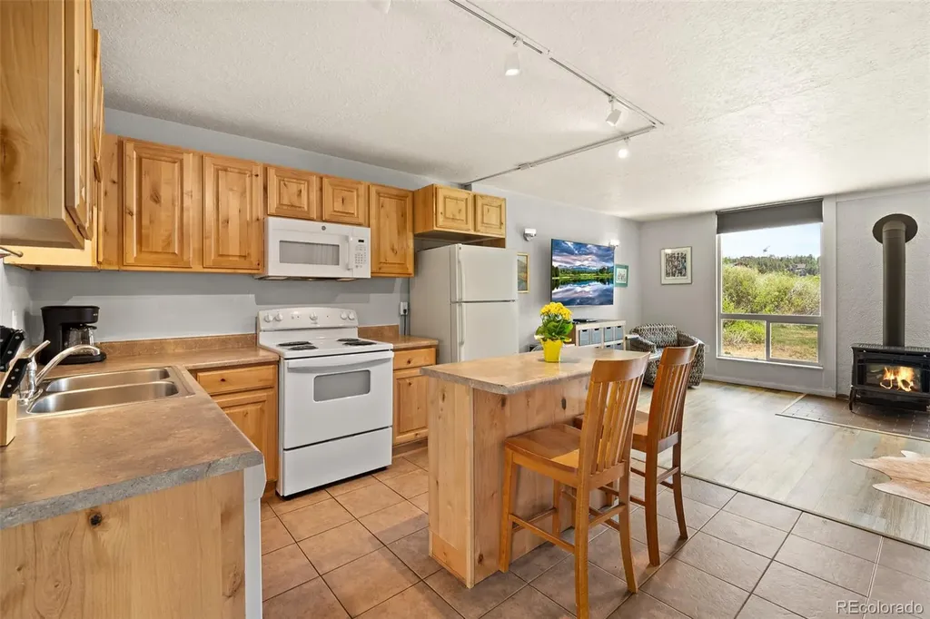 390 Straight Creek Drive Dillon CO 80435
