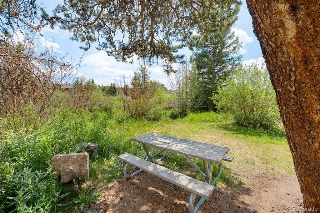 390 Straight Creek Drive Dillon CO 80435