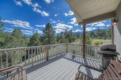 14701 County Road 261c Nathrop CO 81236