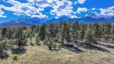 14701 County Road 261c Nathrop CO 81236