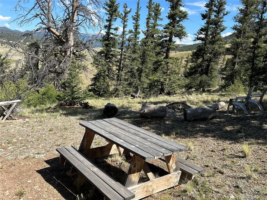 Hwy 285/24 Buena Vista CO 81211