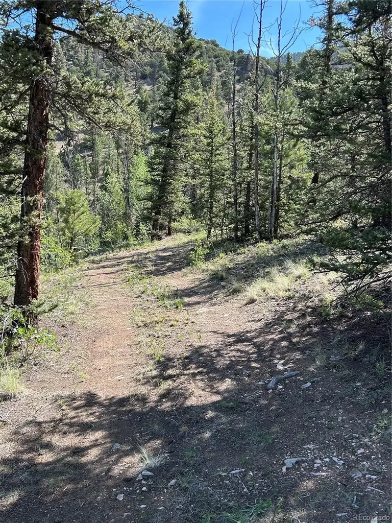 Hwy 285/24 Buena Vista CO 81211