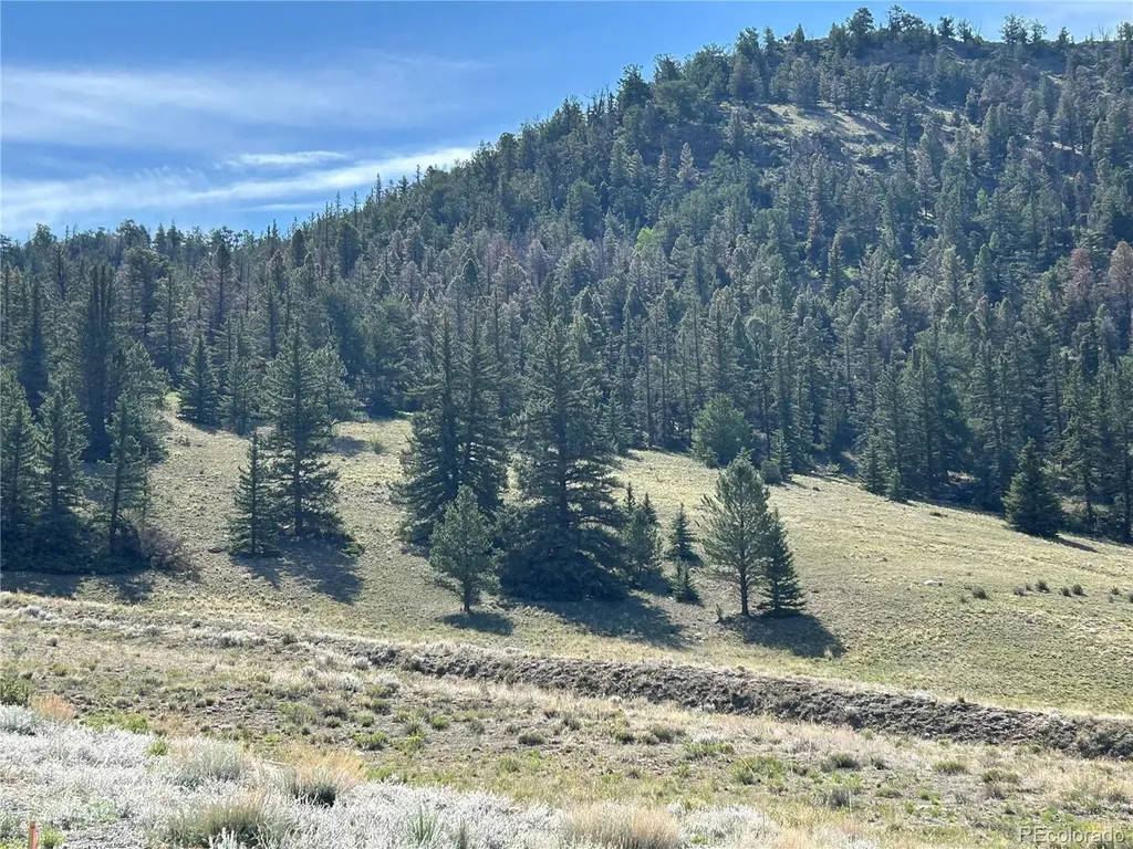 Hwy 285/24 Buena Vista CO 81211