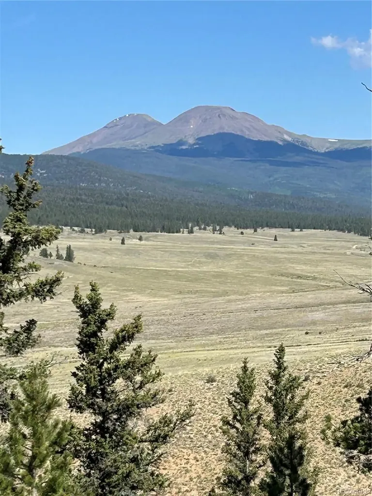 Hwy 285/24 Buena Vista CO 81211