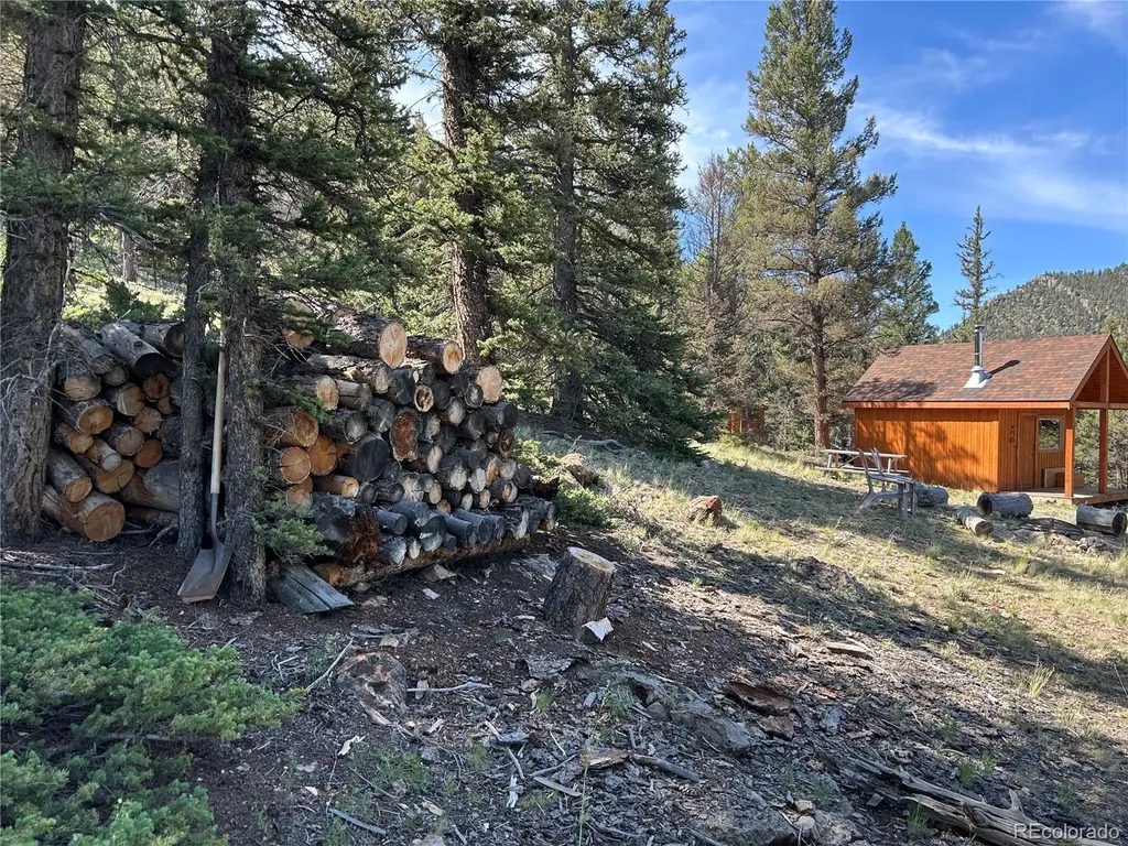 Hwy 285/24 Buena Vista CO 81211