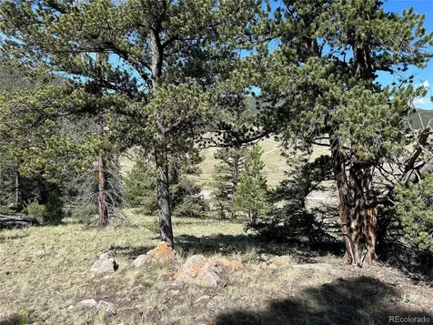 Hwy 285/24 Buena Vista CO 81211