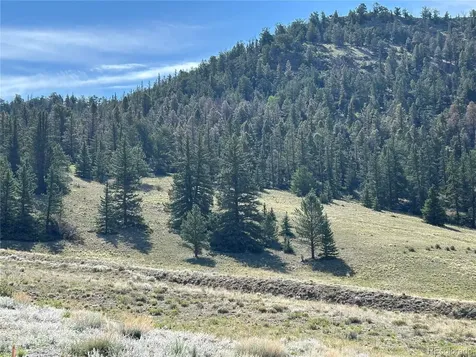 Hwy 285/24 Buena Vista CO 81211