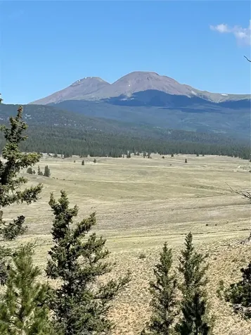 Hwy 285/24 Buena Vista CO 81211
