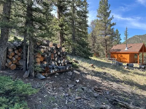 Hwy 285/24 Buena Vista CO 81211