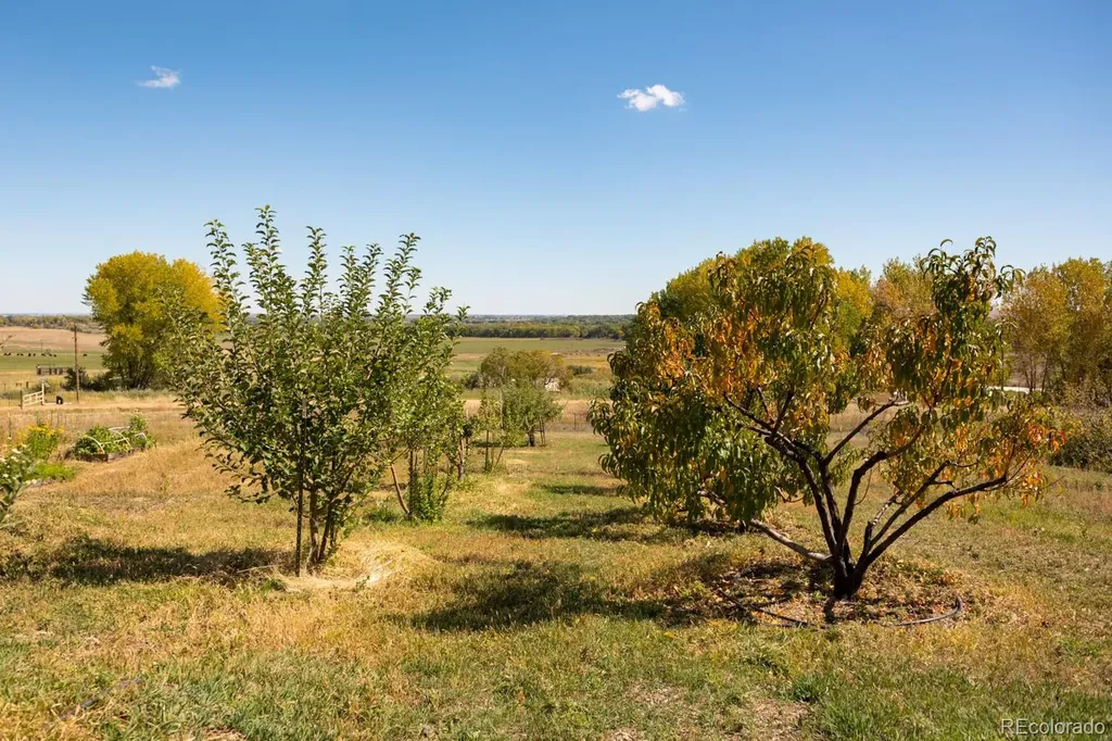 5952 Oxford Road Niwot CO 80503