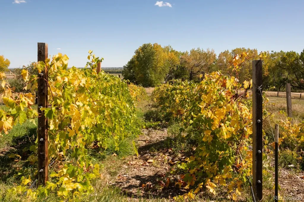 5952 Oxford Road Niwot CO 80503