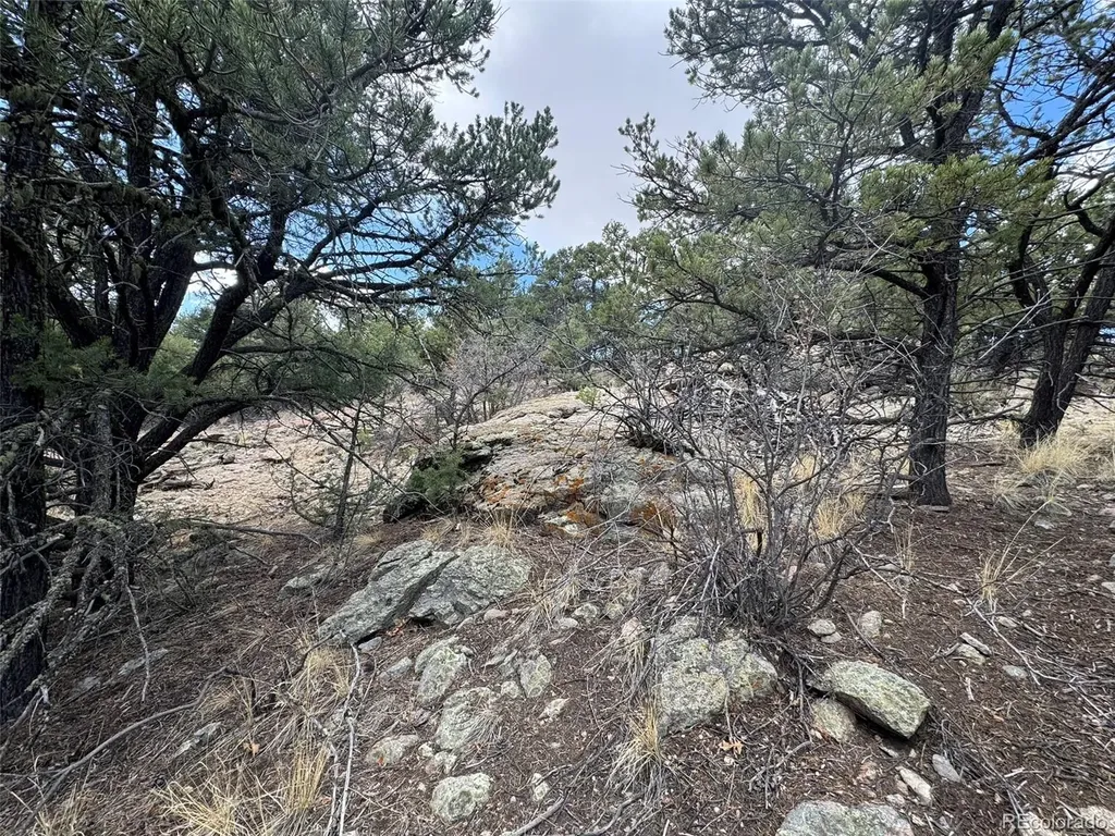 Tbd 33rd Cotopaxi CO 81223