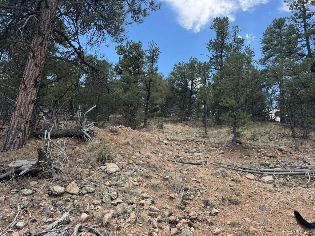 Tbd 33rd Cotopaxi CO 81223