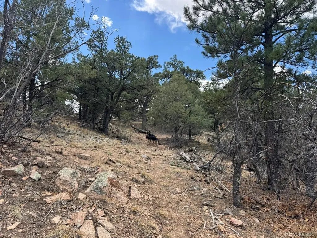 Tbd 33rd Cotopaxi CO 81223
