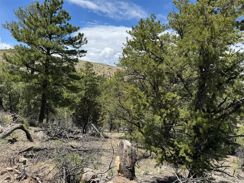 Tbd 33rd Cotopaxi CO 81223