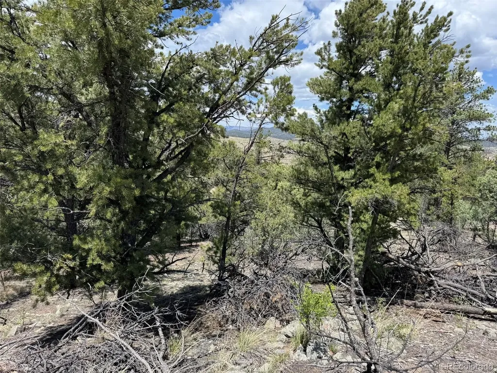 Tbd 33rd Cotopaxi CO 81223