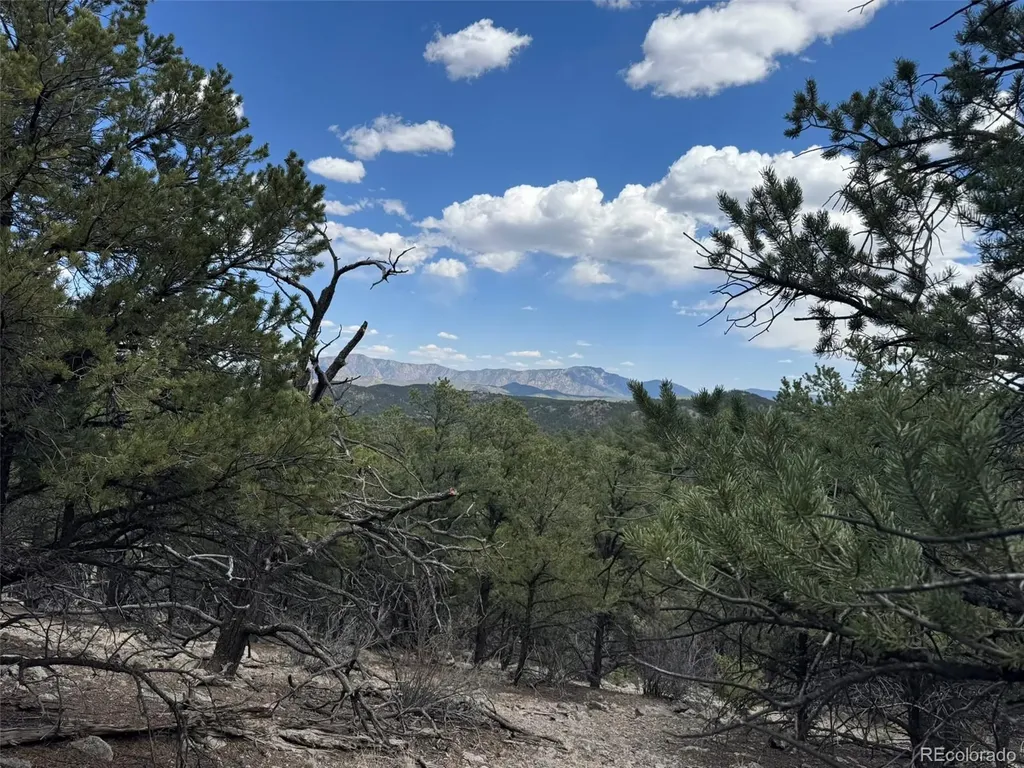 Tbd 33rd Cotopaxi CO 81223