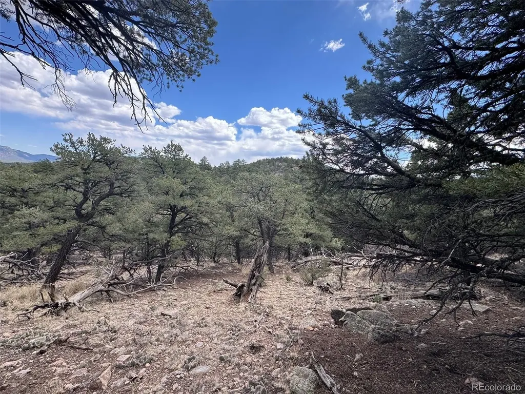 Tbd 33rd Cotopaxi CO 81223